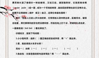 二年级阅读训练100篇 二年级阅读训练100篇