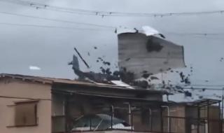 10级台风有多大威力