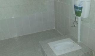 卫生间蹲坑 卫生间蹲坑