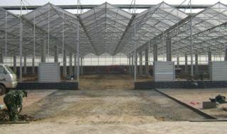 阳光板温室大棚 阳光板温室大棚