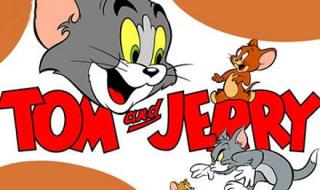 猫和老鼠消失的22集