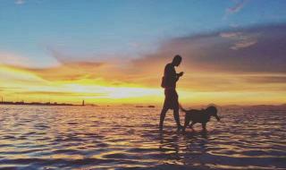 一个人看海 一个人看海