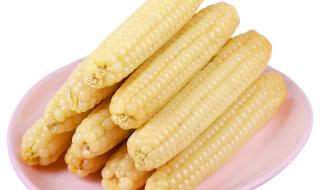 西双版纳的特产 西双版纳的特产