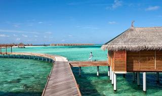 海贼王特别篇顺序 海贼王手掌岛的冒险