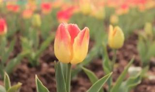 象山县地图 象山县地图