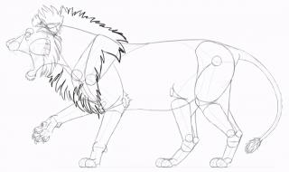 手绘入门基础教程 手绘入门基础教程