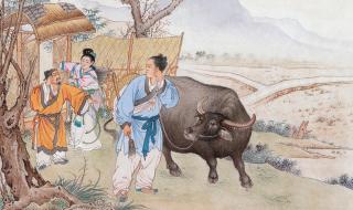 牛郎织女连环画简单6幅内容分別是什么 牛郎织女连环画简单