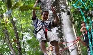 人猿泰山主题曲 人猿泰山主题曲