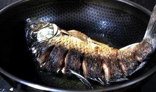 炖鱼块的做法大全 炖鱼块的做法大全