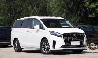 10月mpv销量排行公布