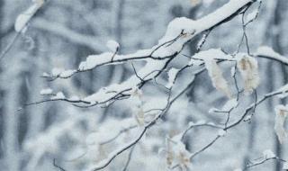 河北将迎大范围雨雪 河北将迎大范围雨雪