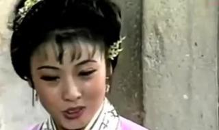 黄梅戏天仙配韩再芬