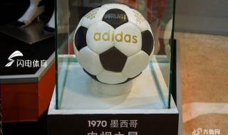 历届世界杯会徽 历届世界杯射手榜