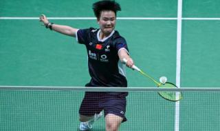 马来西亚公开赛羽毛球