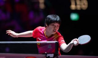 世界杯乒乓球2024 世界杯乒乓球2024